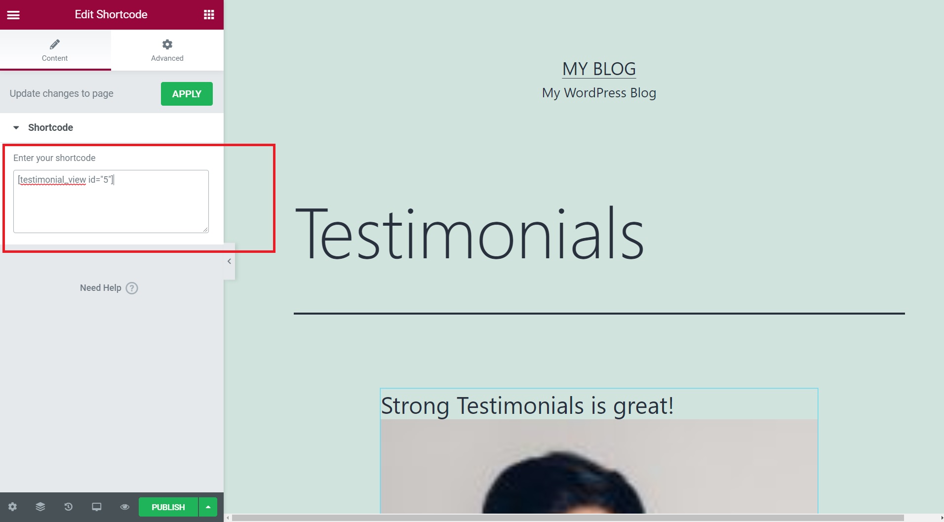 paste Strong Testimonials shortcode in Elementor